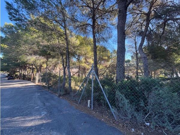 Terreno en Pinar de Advocat-Cometa, Moraira photo 1