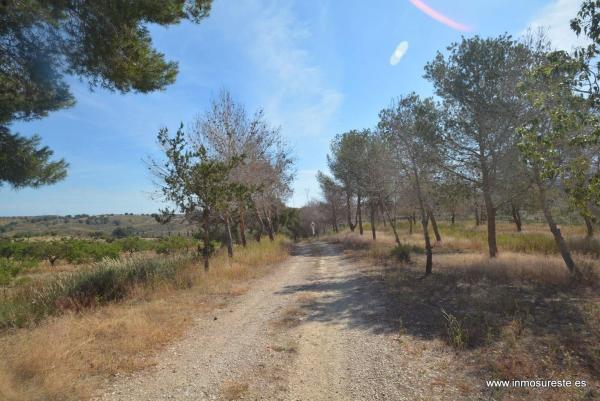 Terreno en Desamparados-Hurchillo-Torremendo, Orihuela photo 4