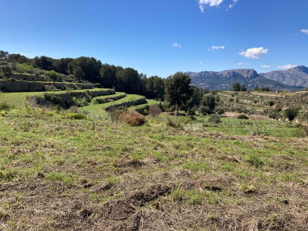 Terreno en venta en Calpe, Alicante photo 3