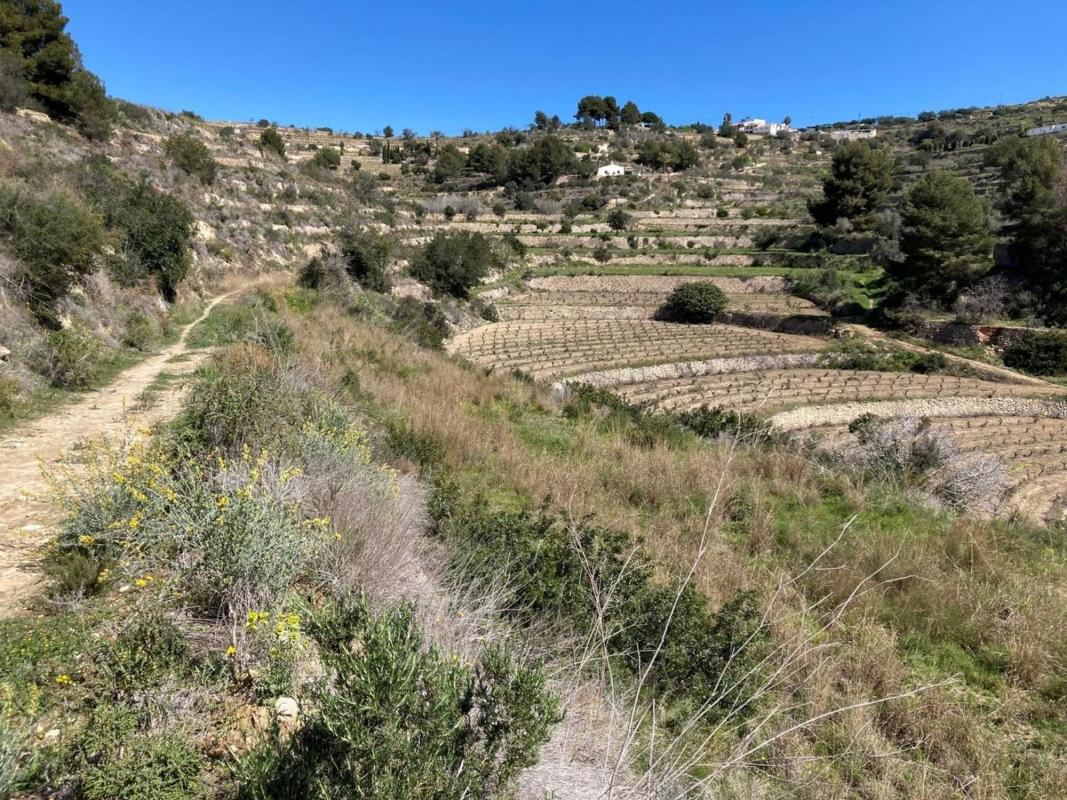 Terreno en venta en Calpe, Alicante photo 5