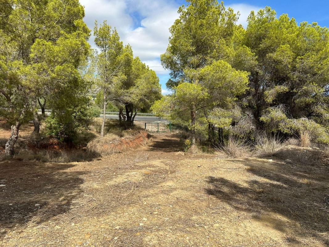 Land for sale in Altea, Alicante photo 1