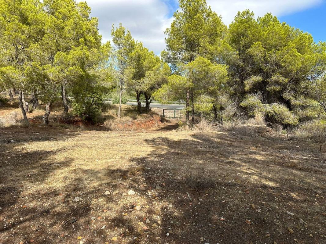 Land for sale in Altea, Alicante photo 3