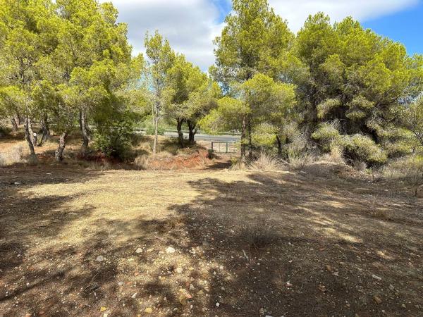 Terreno en Partida la Olla, 65 a, Zona de Mascarat, Altea thumbnail 3