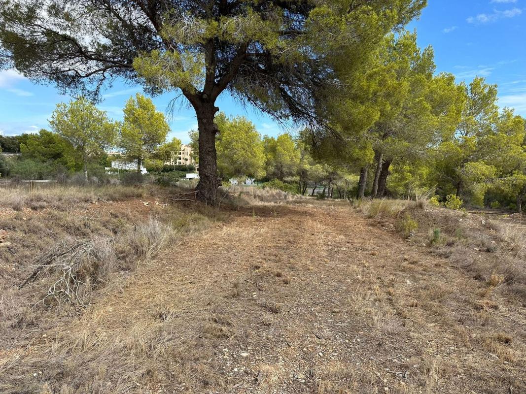 Land for sale in Altea, Alicante photo 4