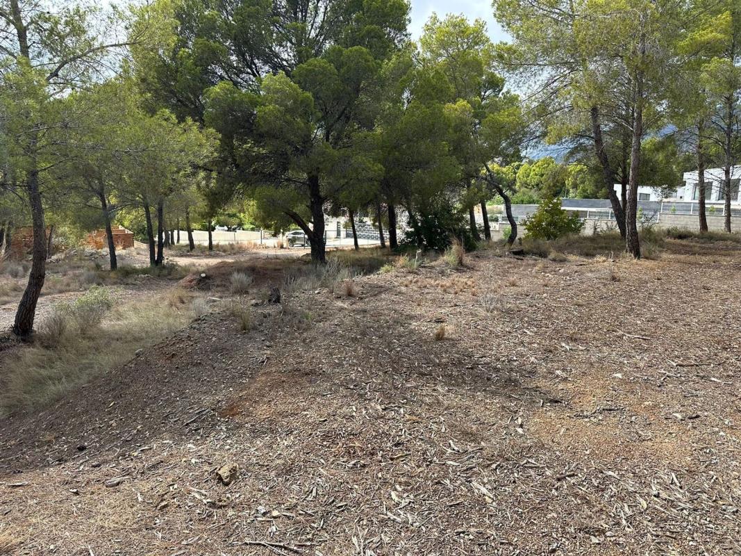 Land for sale in Altea, Alicante photo 5