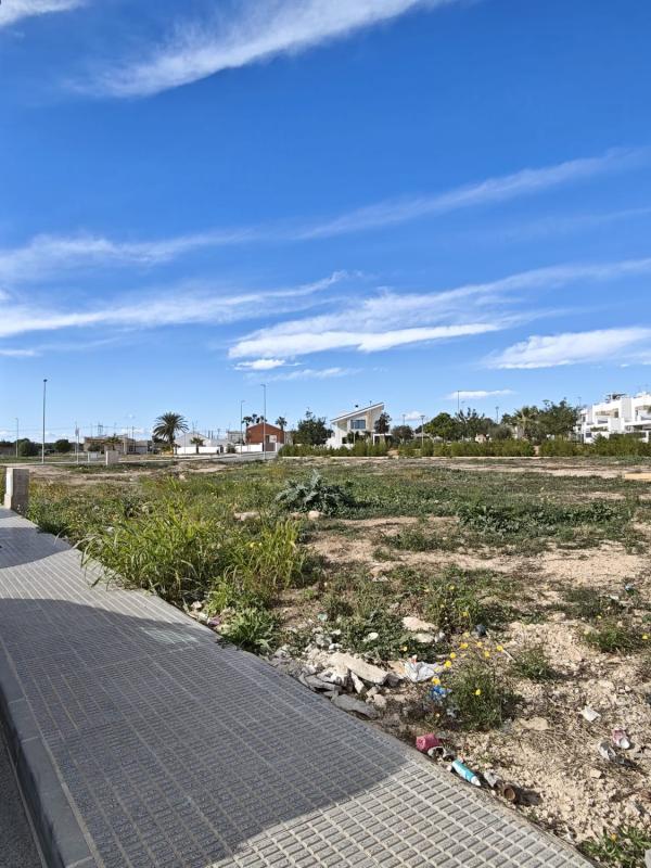 Land for sale in Los Montesinos, Alicante photo 5