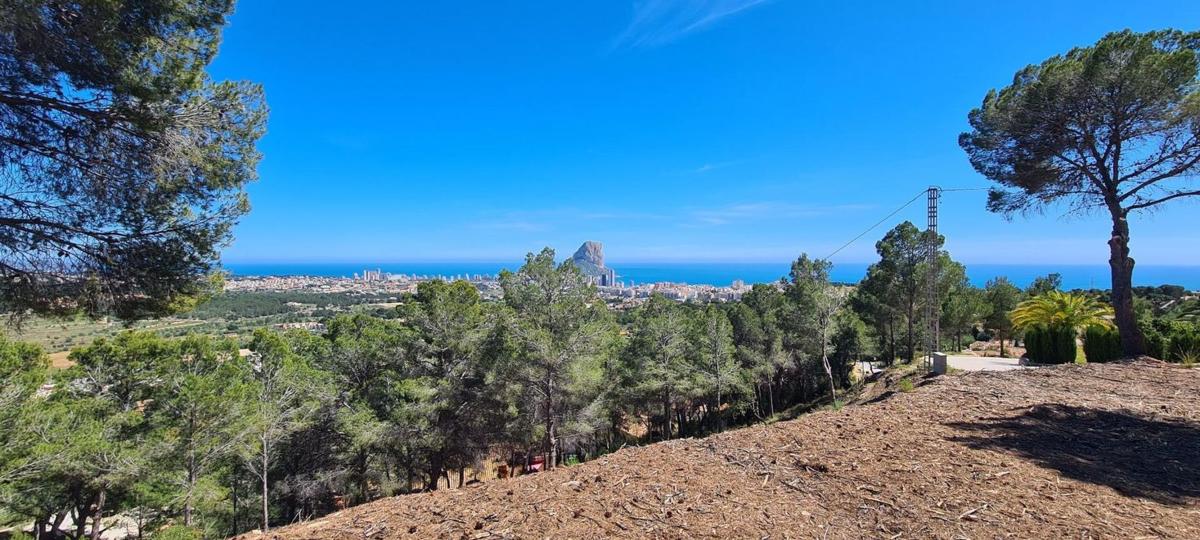Land for sale in Calpe, Alicante photo 2