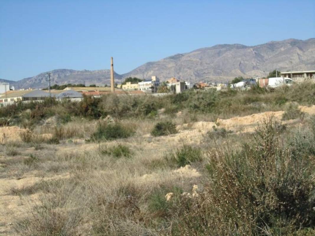 Terreno en venta en Crevillente, Alicante photo 4
