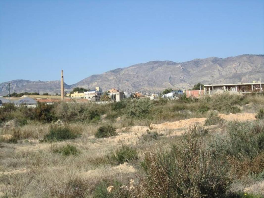 Terreno en venta en Crevillente, Alicante photo 5