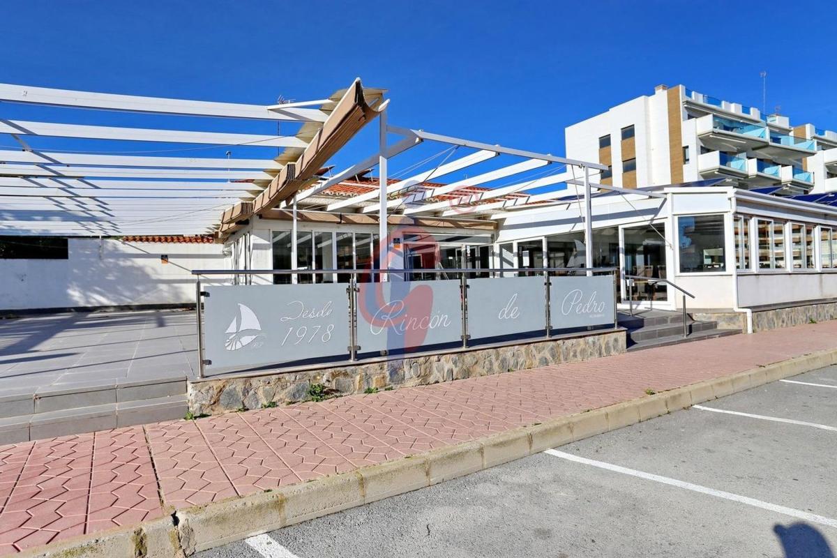 Terreno en venta en Guardamar del Segura, Alicante photo 2