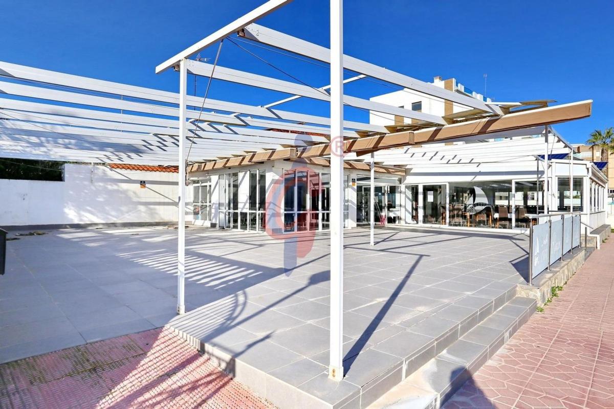 Terreno en venta en Guardamar del Segura, Alicante photo 3