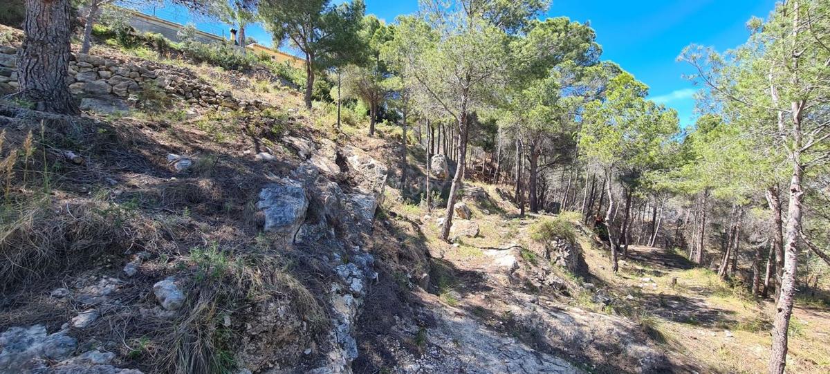 Terreno en venta en Calpe, Alicante photo 5