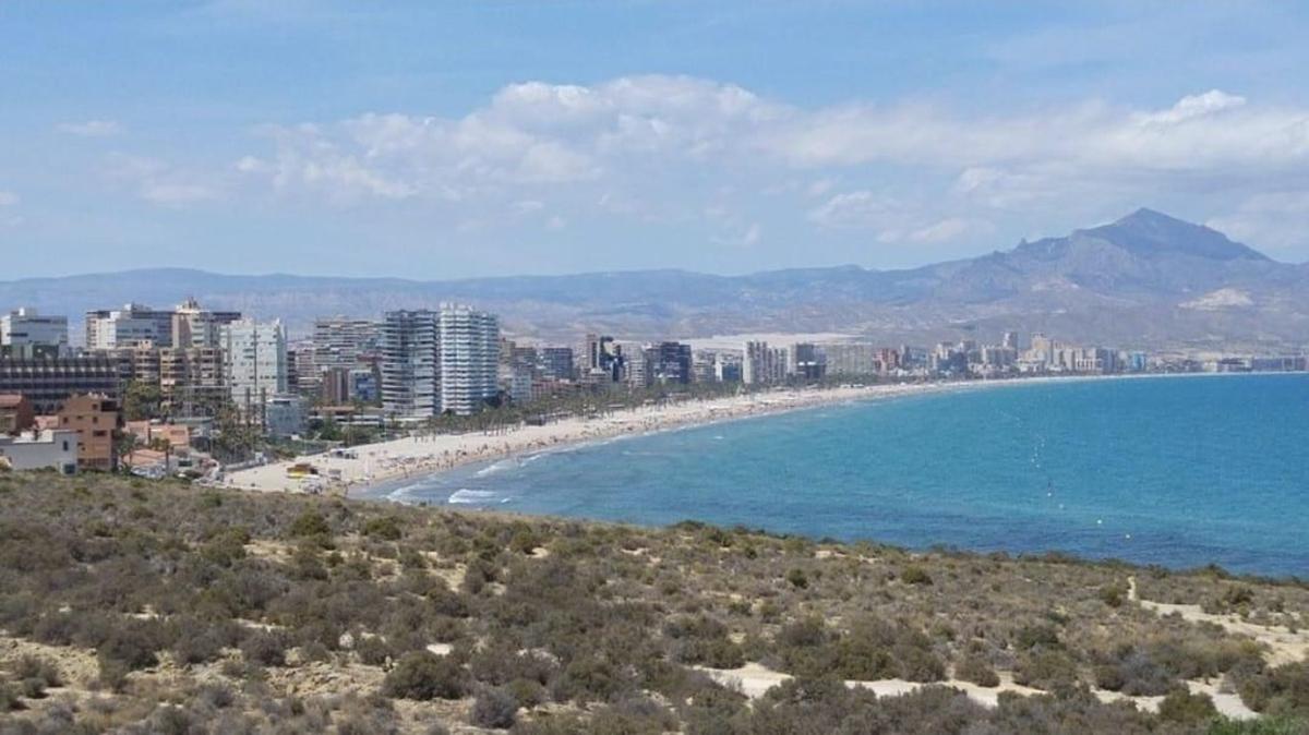 Terreno en venta en Alicante / Alacant, Alicante photo 4
