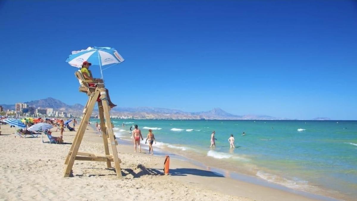 Terreno en venta en Alicante / Alacant, Alicante photo 5