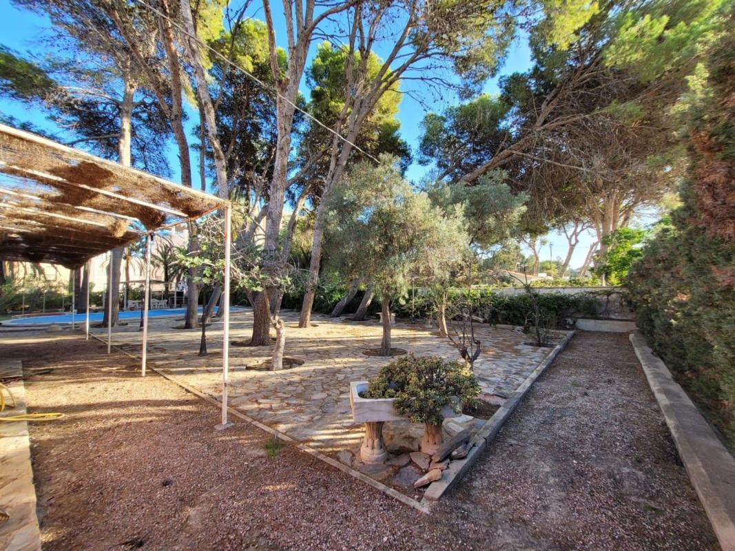 Terreno en venta en El Campello, Alicante photo 5