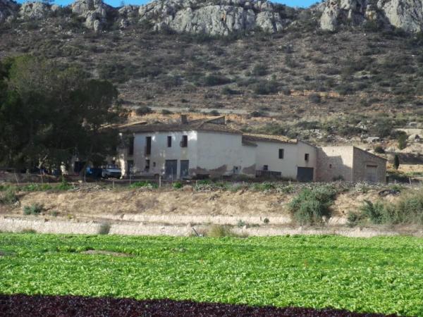Terreno en Camino la horna baja, Novelda photo 2