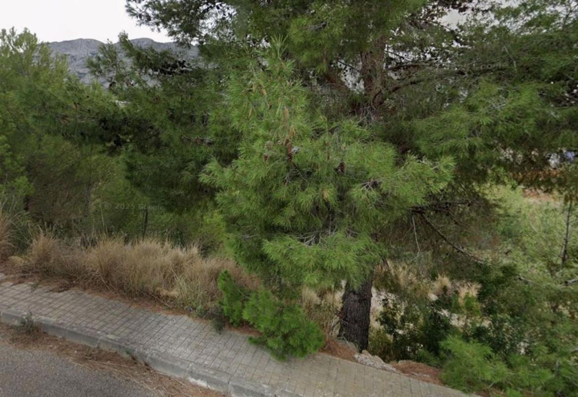 Terreno en venta en Denia, Alicante photo 2