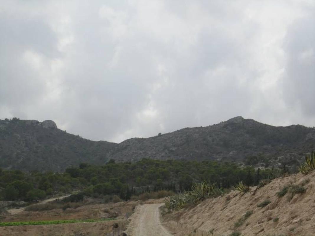 Działka na sprzedaż w Nowaleda, Alicante photo 5
