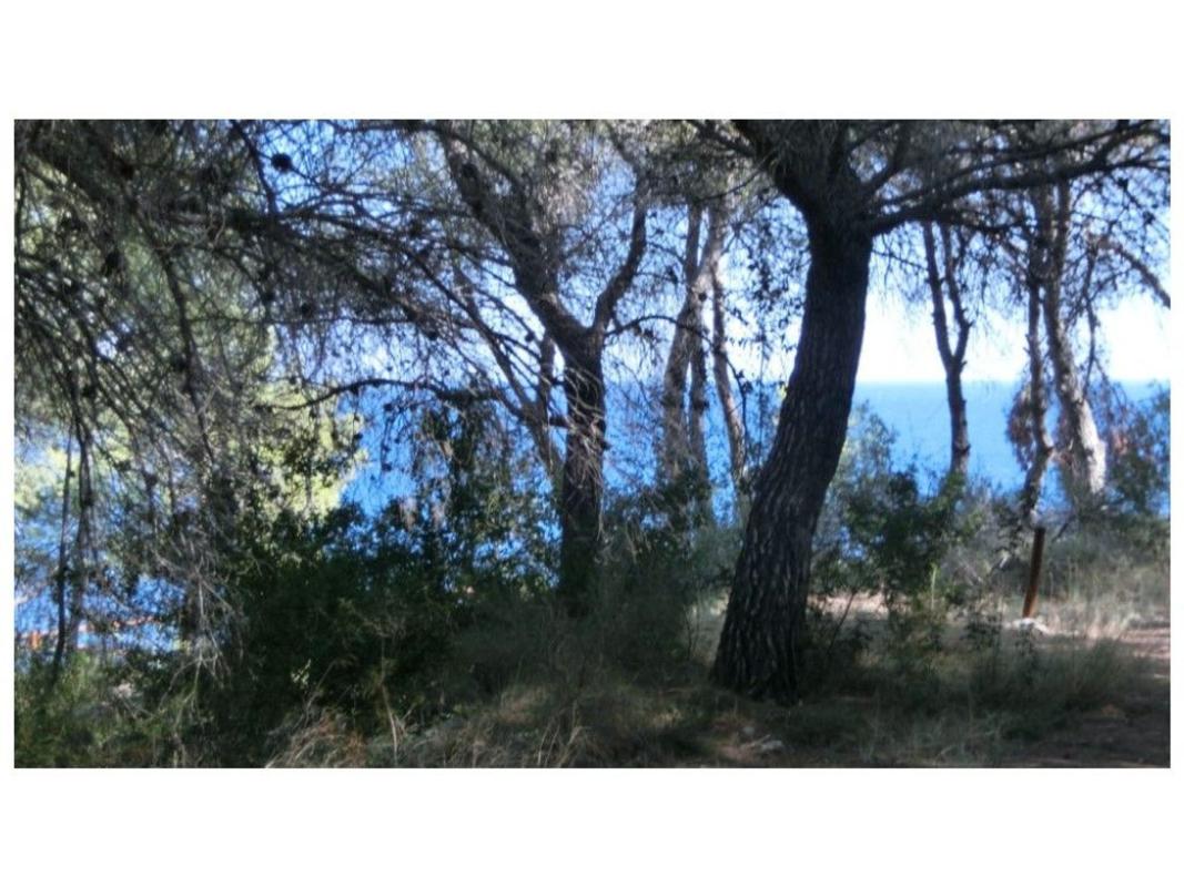 Terreno en venta en Benissa, Alicante photo 2