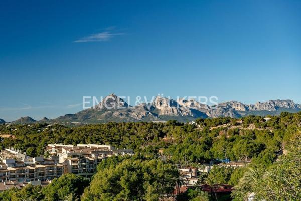 Terreno en Zona de Mascarat, Altea photo 4