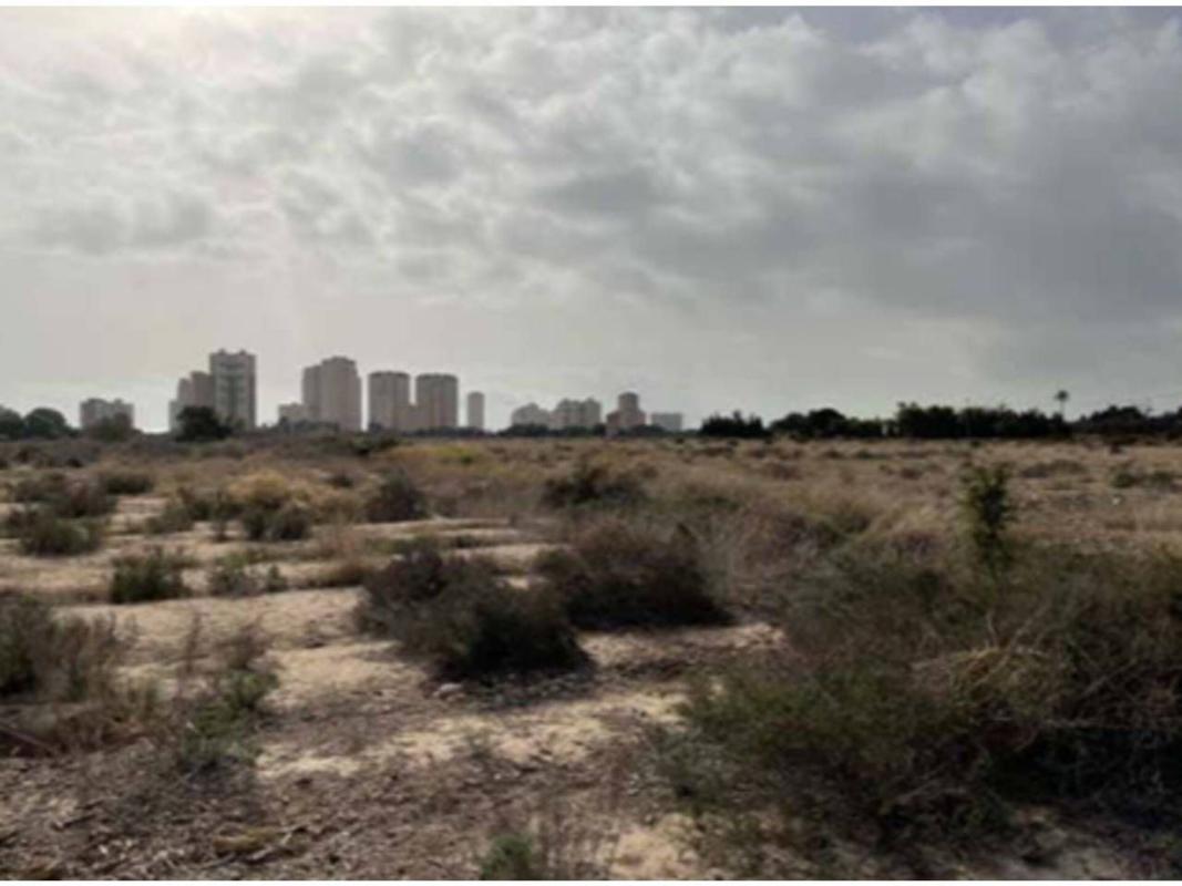 Land for sale in San Juan de Alicante, Alicante photo 1