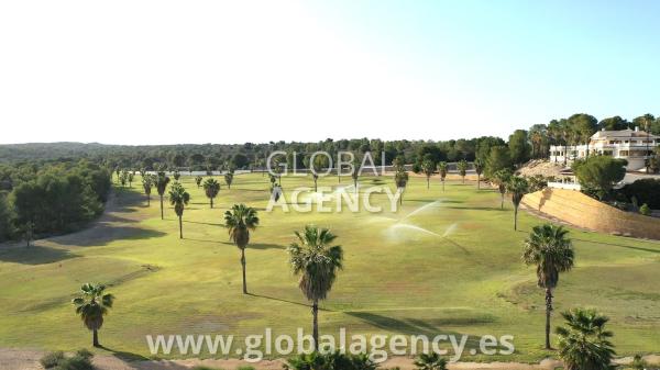 Terreno en El Palmeral-Urbanova-Tabarca, Alicante / Alacant photo 2