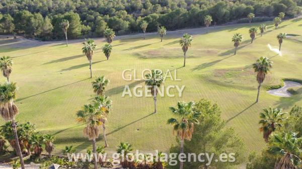 Terreno en El Palmeral-Urbanova-Tabarca, Alicante / Alacant photo 3