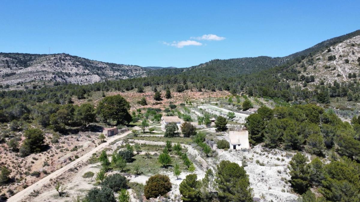Venta de finca rústica en Finca rústica en Petrer , Petrer photo 2