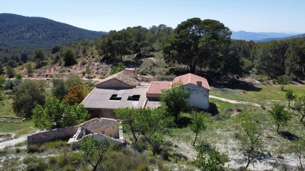 Finca rústica en venta en Finca rústica en Petrer , Petrer thumbnail 3