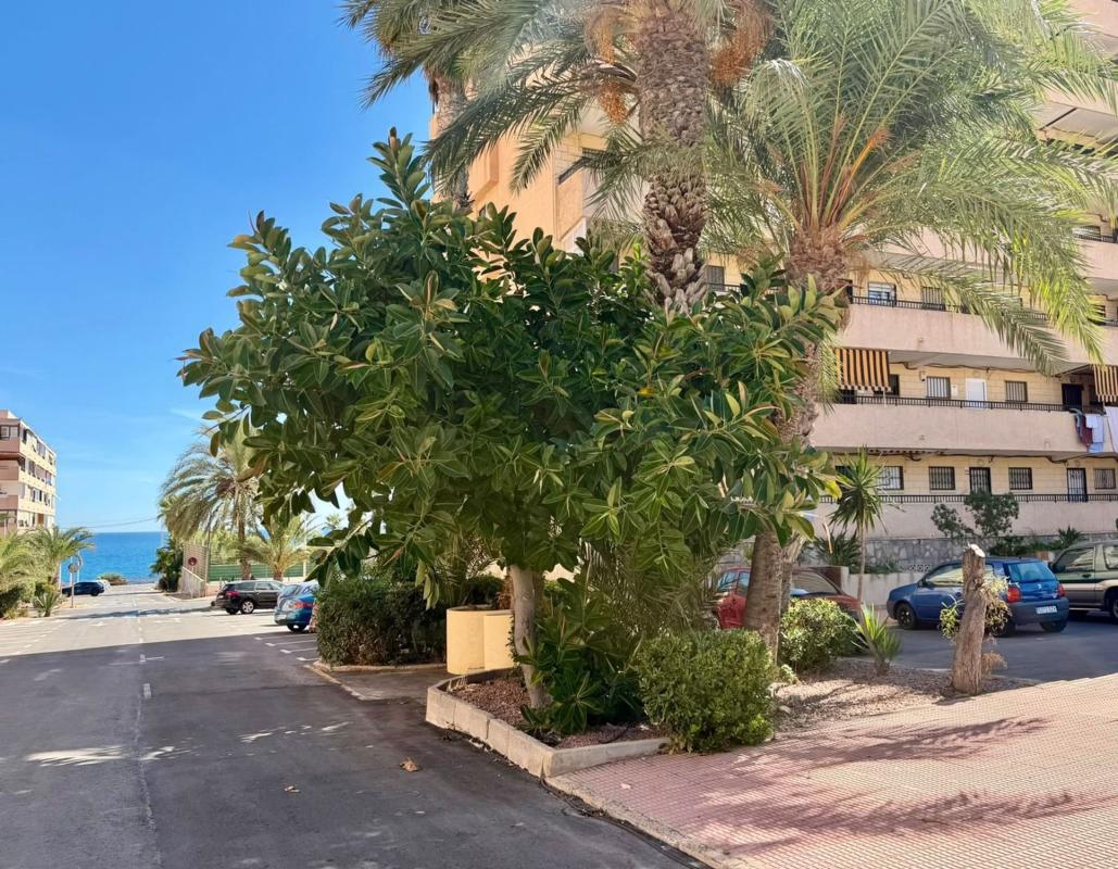 Venta de piso en Piso en Calle del Cabo, 14, Cabo Cervera, Torrevieja, Torrevieja
 photo 2