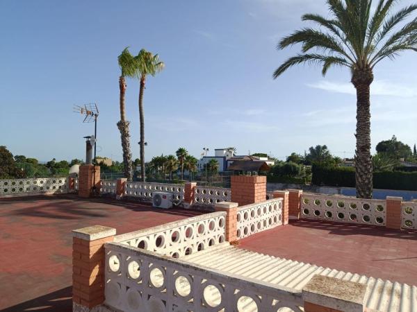 Casa o chalet independiente en Peña de Las Águilas, Elche / Elx photo 4