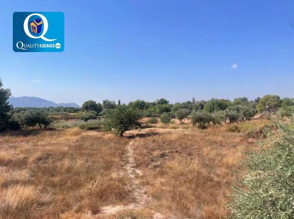 Terreno en Villamontes-Boqueres, San Vicente del Raspeig thumbnail 3