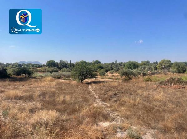 Terreno en Villamontes-Boqueres, San Vicente del Raspeig photo 4