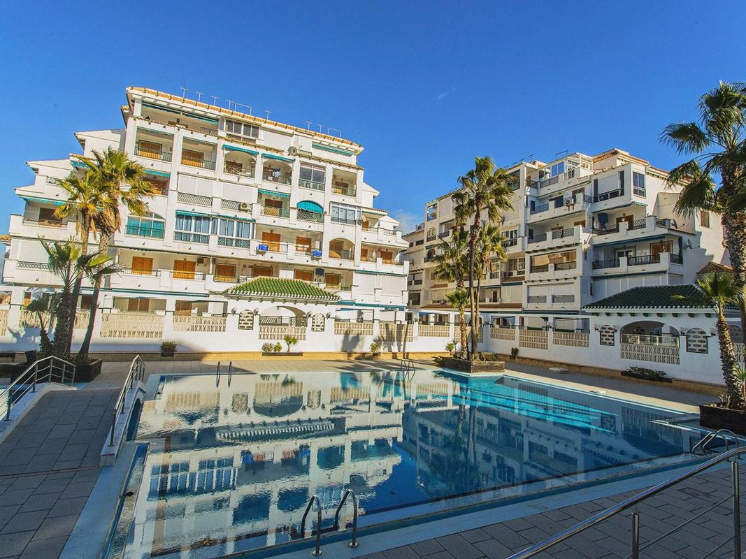 Sale of apartment in Piso en Los Europeos, Torrevieja, Torrevieja
photo 3