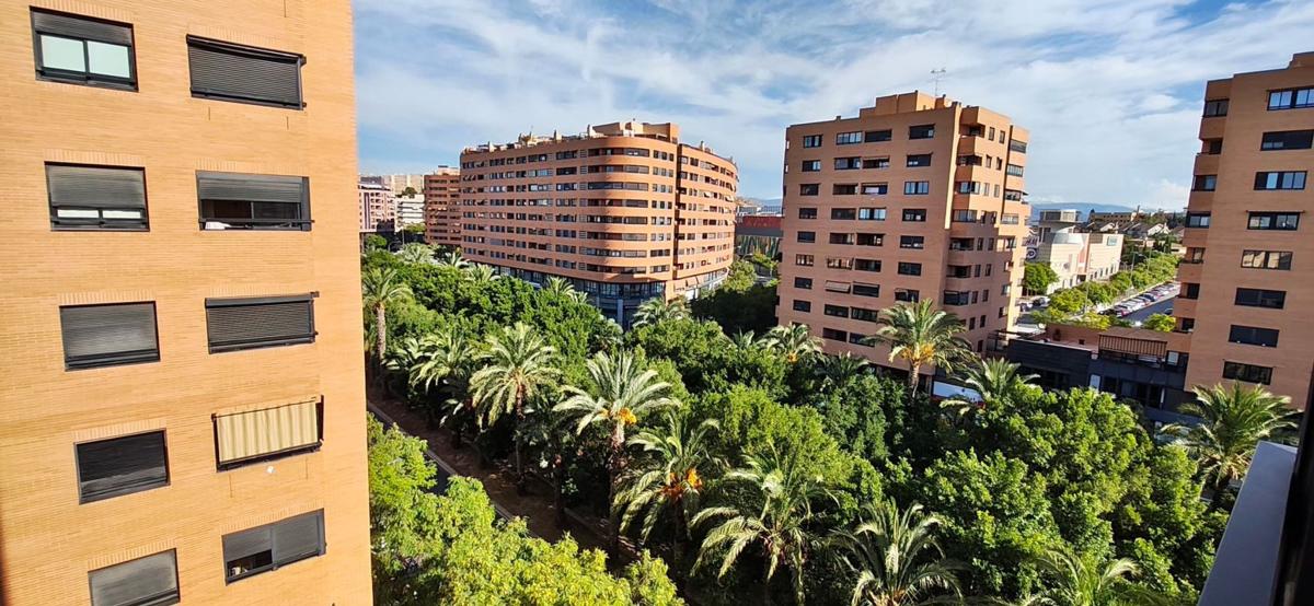 Продажа квартиры на Piso en Avenida Pintor Xavier Soler, 12, Garbinet - Parque de las Avenidas, Alicante / Alacant, Аликанте / Алакант
photo 3