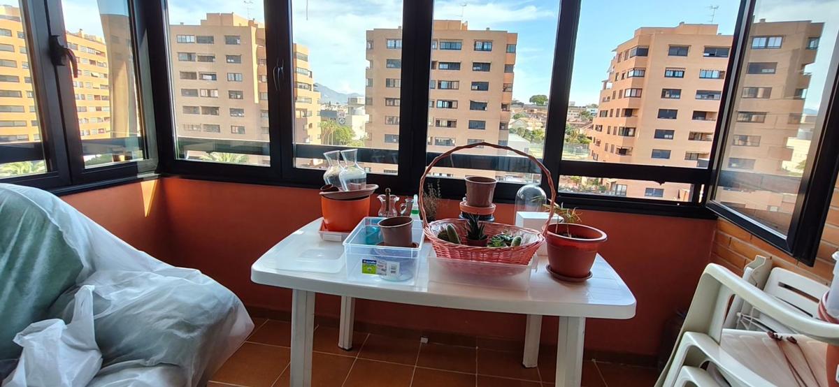 Продажа квартиры на Piso en Avenida Pintor Xavier Soler, 12, Garbinet - Parque de las Avenidas, Alicante / Alacant, Аликанте / Алакант
photo 4
