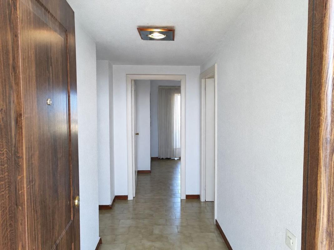 Sale of apartment in Piso en Avenida de la Costa Blanca, Playa de San Juan, Alicante / Alacant, Alicante
 photo 5