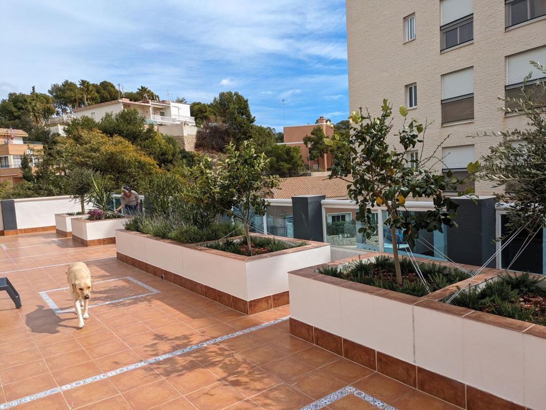 Продажа квартиры на Piso en Calle Montnegre, 14, Pueblo Español - Coveta Fumá, El Campello, Эль Кампельо
photo 2