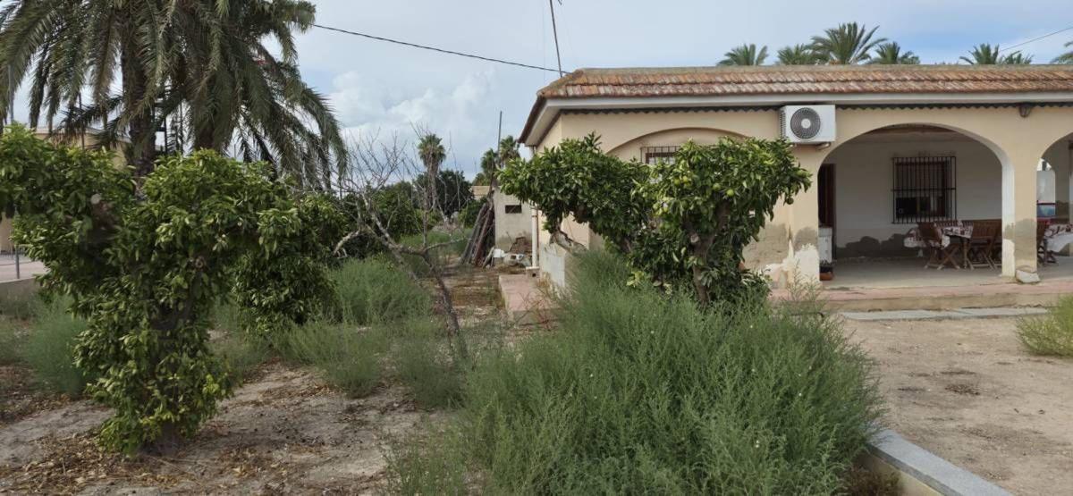 Sale of rural property in  Casa rústica en La Hoya-Daimes-El Derramador, Elche / Elx , Elche / Elx photo 2