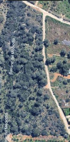 Terreno en Camino del Barranc de Migdia, 1, Montgó - Ermita, Jávea/Xàbia photo
