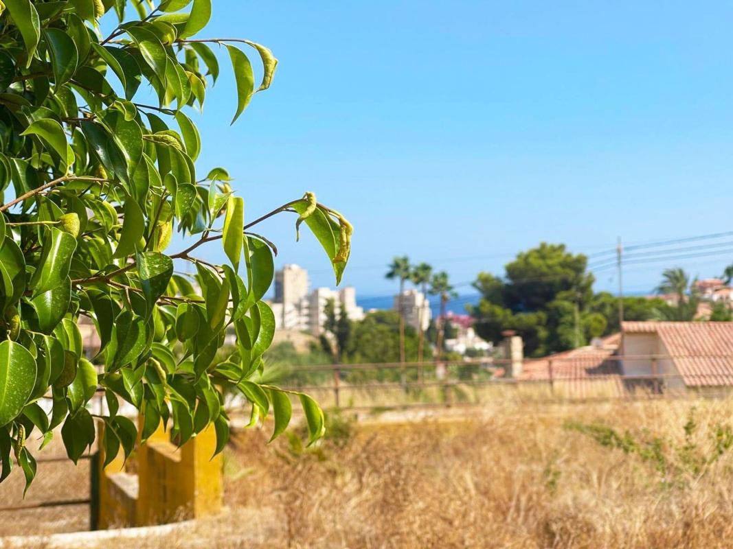 Terreno en venta en Calpe, Alicante photo 2