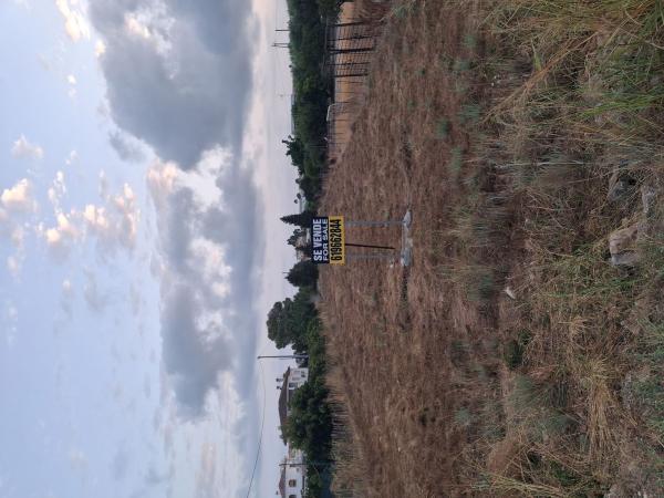 Terreno en Camino Real de Gandia, 23, Els Poblets photo 1
