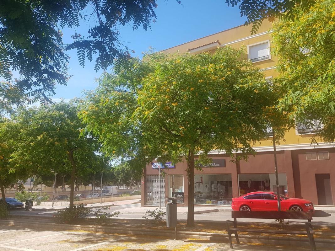 Venta de piso en Piso en Calle de los Postigos, 4, Villafranqueza, Alicante / Alacant, Alicante / Alacant
photo 1