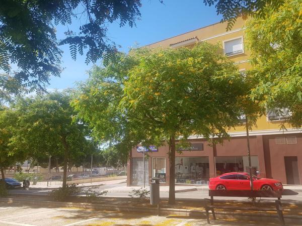 Sprzedaż mieszkania w Piso en Calle de los Postigos, 4, Villafranqueza, Alicante / Alacant, Alicante / Alacant
photo 1