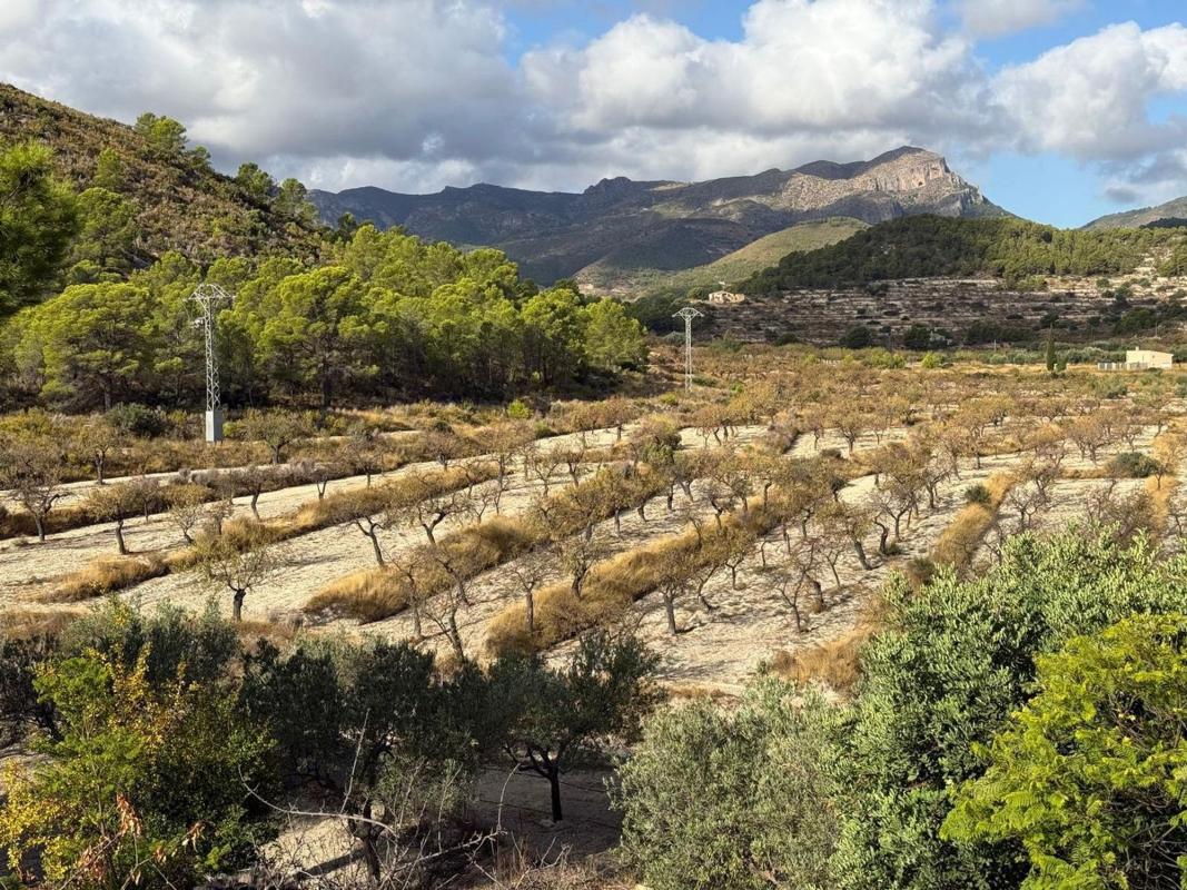 Venta de finca rústica en Finca rústica en Camino Macaroves, Relleu , Relleu photo 3