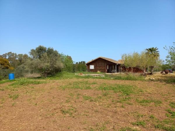 Casa o chalet independiente en Carretera E-15 s/n, El Verger photo 2