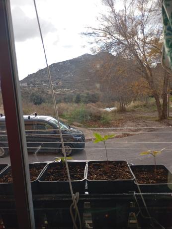 Venta de piso en Piso en Calle Extremadura, 2, San Crispín - Huerta Nueva - Estación, Elda, Elda
photo 1
