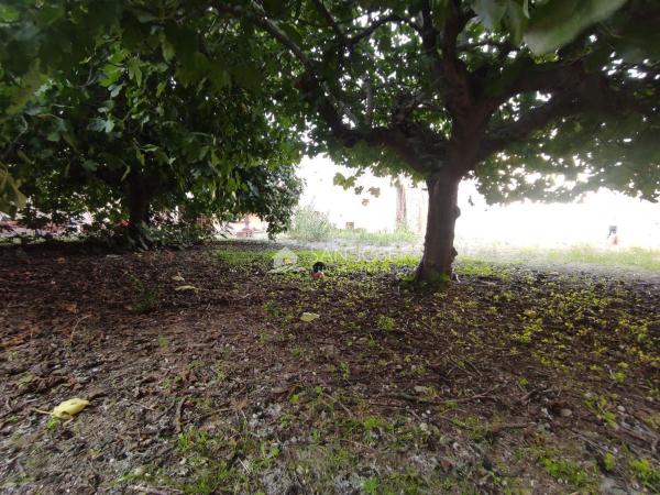 Casa o chalet independiente en El Castillo, Aspe thumbnail 3