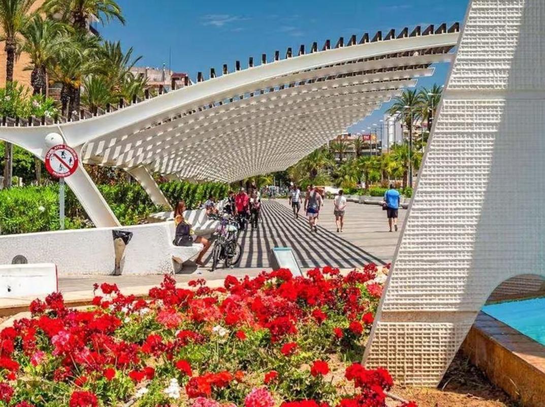 Venta de piso en Piso en El Molino, Torrevieja, Torrevieja
 photo 5