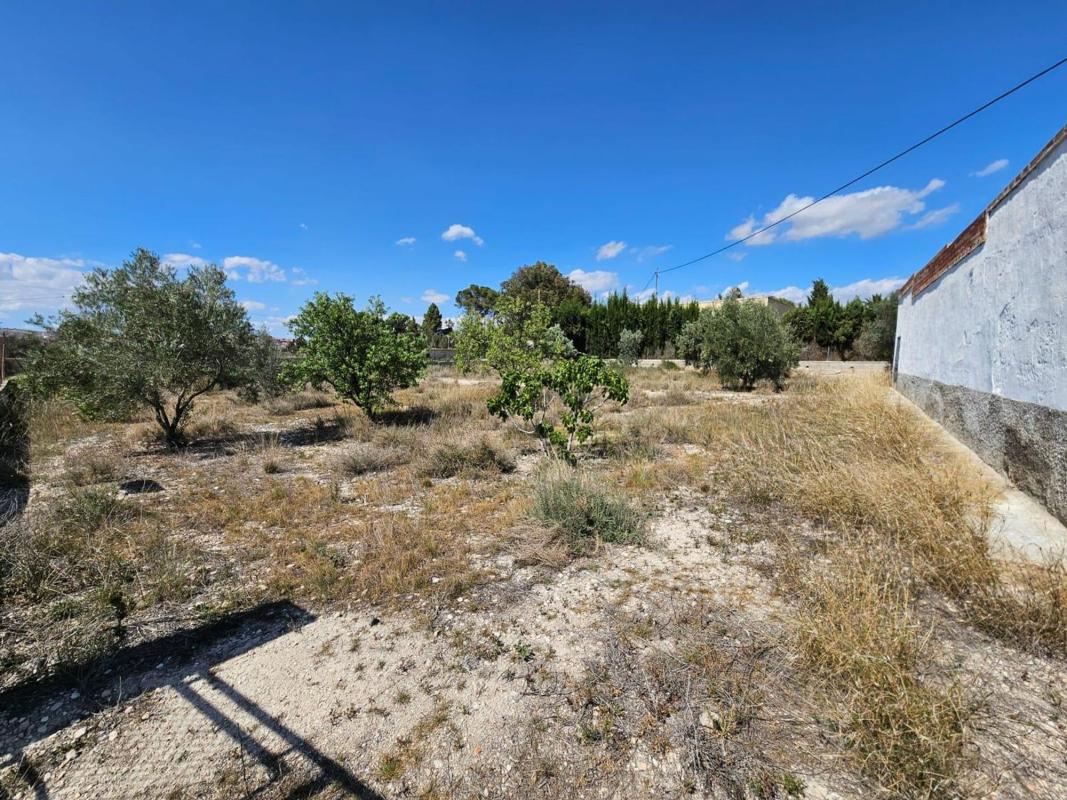Sprzedaż działki rolnej w Finca rústica en Petrer , Petrer photo 5